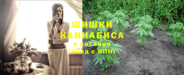 марки nbome Белокуриха