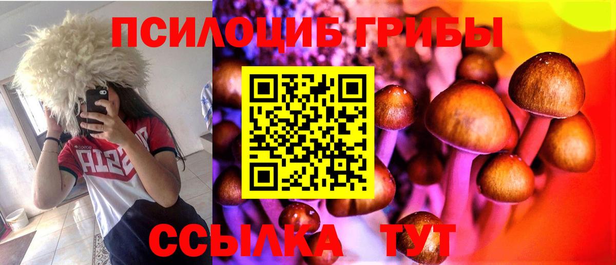 Галлюциногенные грибы GOLDEN TEACHER  Вход с VPN  Бугульма 